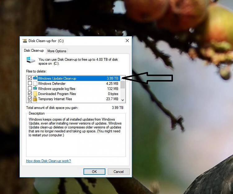 Disk Cleanup says that I have 3.99 TB-untitled.jpg