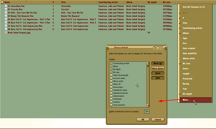 Windows File Explorer Column Details for Audio files-001292.png