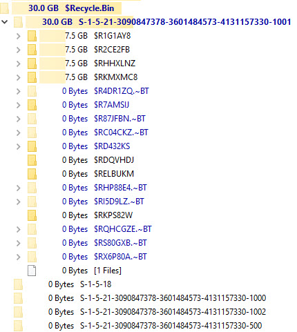 $Recycle.bin Folder?-2020-07-11_21-33-38.jpg