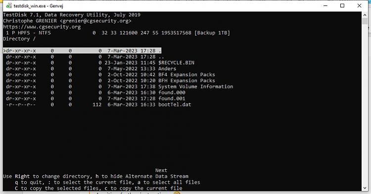 HDD access denied due to 'Parameter is incorrect' (Win10 Pro - 21H2)-testdisk-list-1.jpg