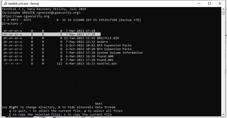 HDD access denied due to 'Parameter is incorrect' (Win10 Pro - 21H2)-testdisk-second-level-dir-view.jpg
