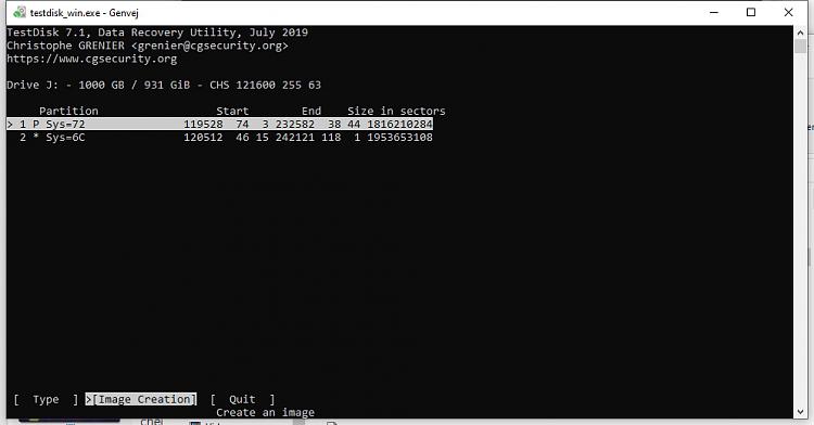 HDD access denied due to 'Parameter is incorrect' (Win10 Pro - 21H2)-testdisk-j-view-files.jpg