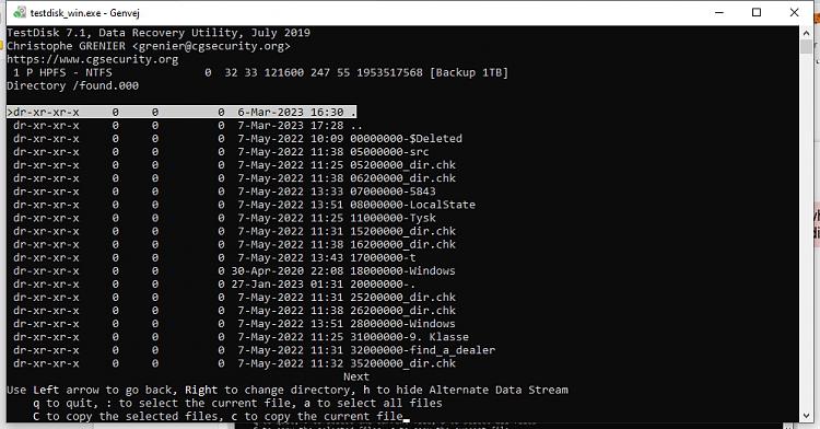 HDD access denied due to 'Parameter is incorrect' (Win10 Pro - 21H2)-ready-copy-found000-dir-source.jpg