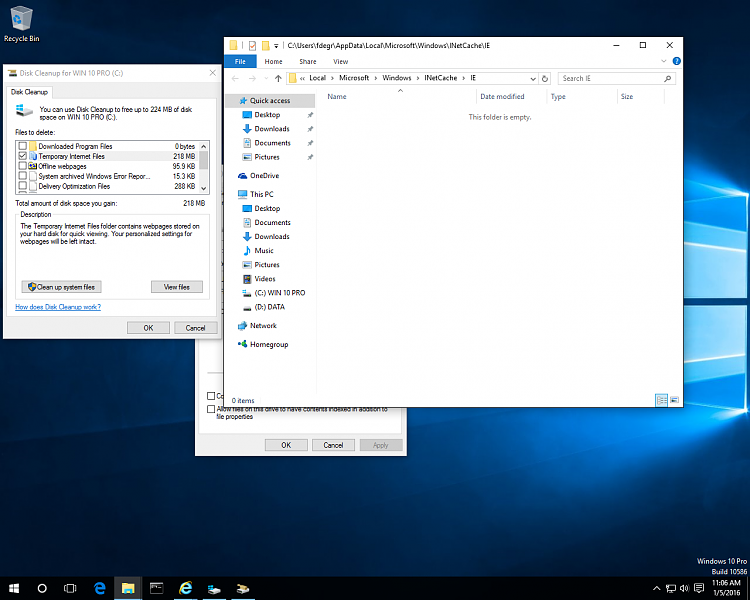 Disk Cleanup Issues-ie-cache.png