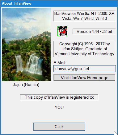 IrfanView/Win 10 crashes?-irfanviewversion.jpg