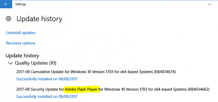 Windows 10 Adobe Flash Player-flash-update-history.png