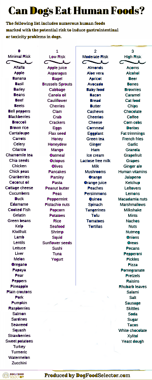 Human food for deals dogs list