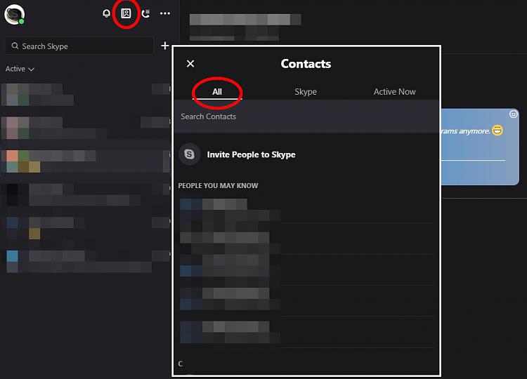 How to show contacts in skype-000581.jpg