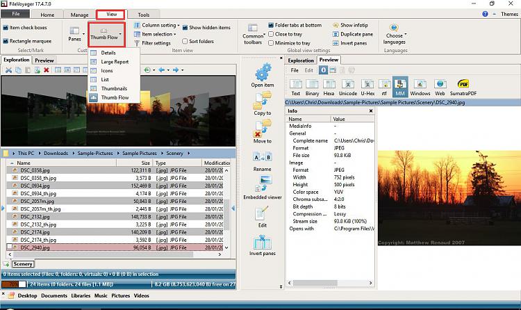 Graphical File Manager-file-voyager-view-settings.jpg
