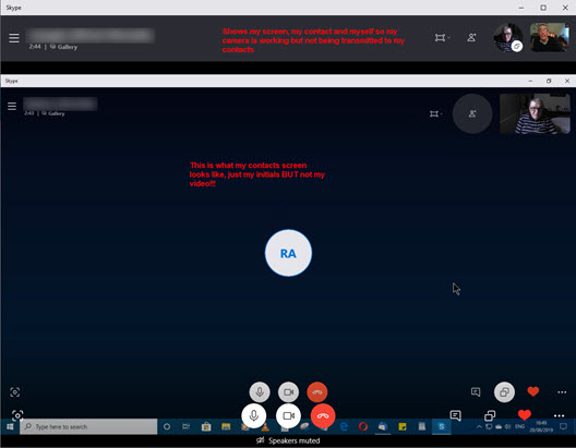 Strange Video issue with Skype Version 8.46.0.60-2019-06-28_16-49-32.jpg