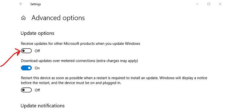 Microsoft Store-advanced-options.jpg