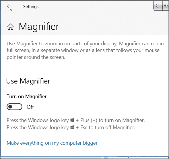 Magnifier not working-1.png