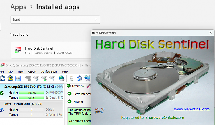 Lifetime license for Hard Disk Sentinel (standard)-image.png