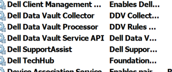 dell support assist-capture.png