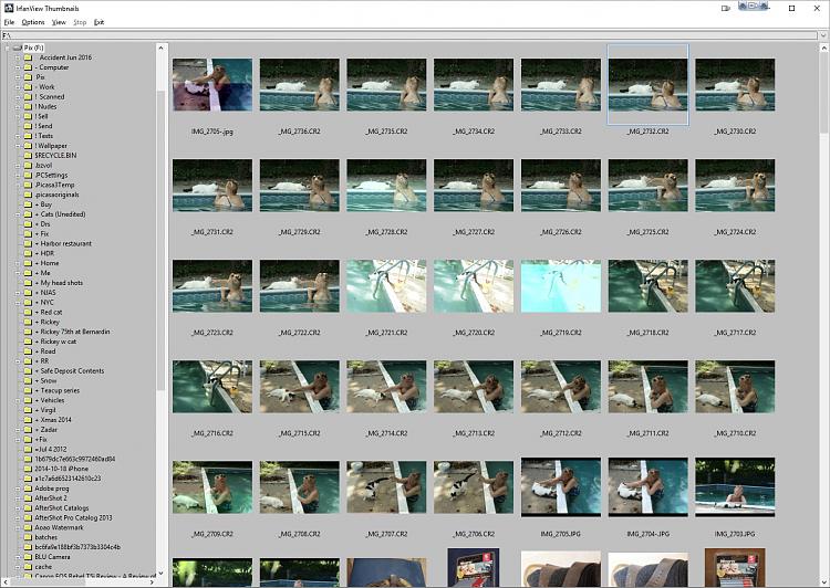 Most but not all photo programs show images all screwed up.-irf-thumbs-ok.jpg