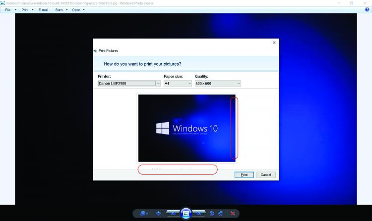 Windows Photo Viewer Printing Dialog-problem.jpg