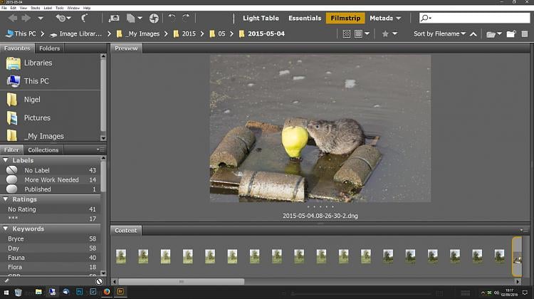 picasa photo viewer 3.9.141.259 picasa photo viewer 3.9.141.259