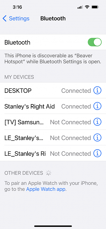 Advice on how to connect Win 10 Desktop to Bluetooth Hearing Aids-iphone-settings.png