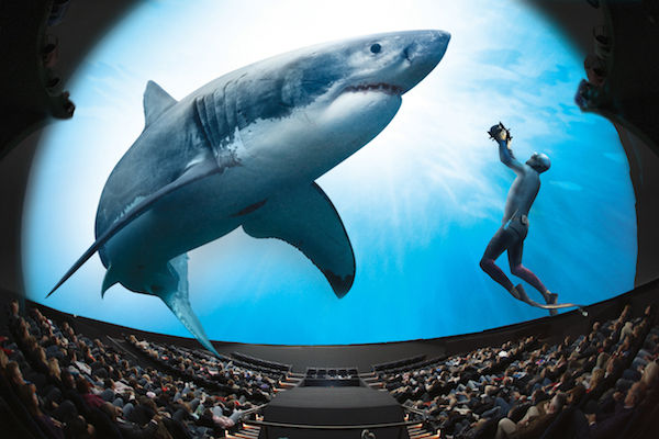 CES 2023: LG introduces 97-inch LG SIGNATURE OLED TV M3-omniversum-great-white-shark.jpg