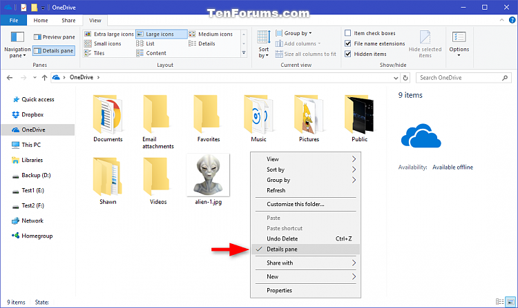 file details pane file details pane
