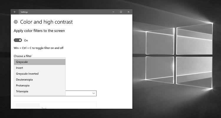 Turn On or Off Color Filters to the Screen in Windows 10-greyscale_color_filter_windows_10.jpg