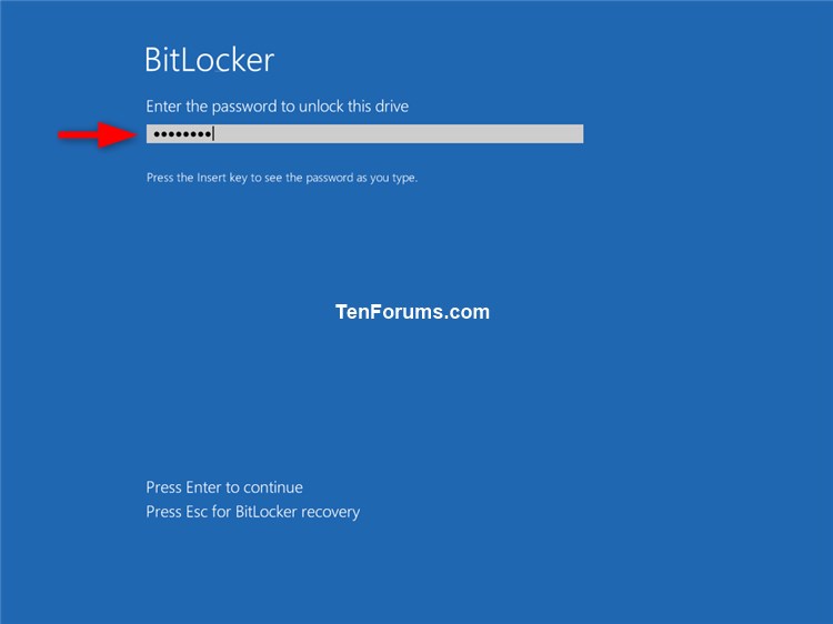 Unlock OS Drive Encrypted by BitLocker in Windows 10-unlock_bitlocker_os_drive_with_password.jpg