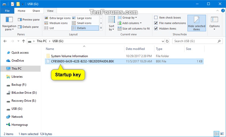 Copy Startup Key of OS Drive Encrypted by BitLocker in Windows-bitlocker_startup_key.jpg