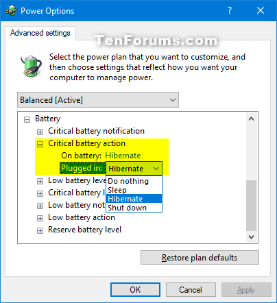 Add or Remove Critical battery action from Power Options in Windows-critical_battery_action.png