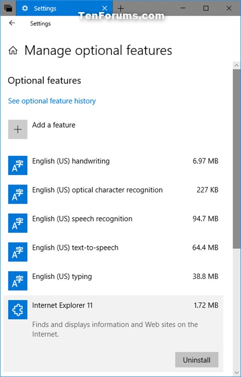 Install or Uninstall Internet Explorer in Windows 10-optional_features.jpg