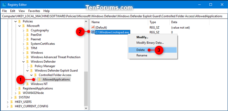 Add or Remove Allowed Apps for Controlled Folder Access in Windows 10-windows_defender_controlled_folder_access_allowed_app_regedit-4.png
