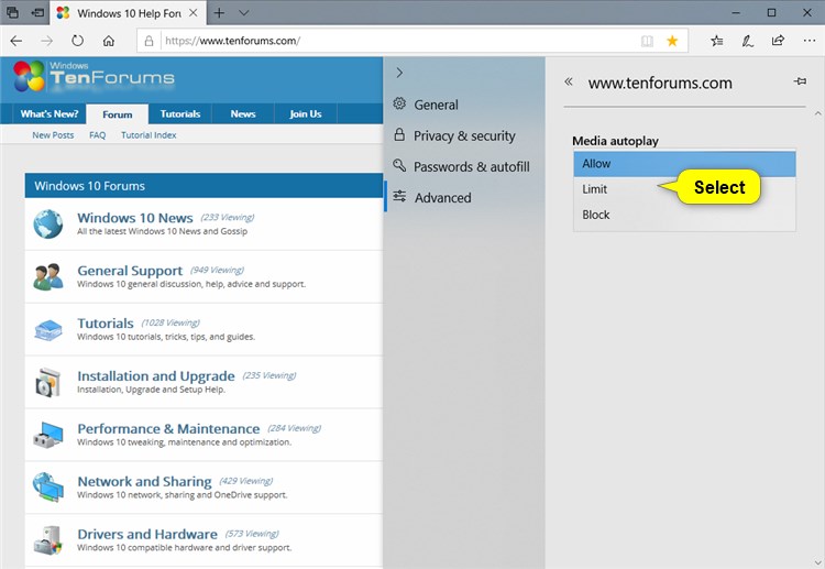 Enable or Disable Media Autoplay in Microsoft Edge in Windows 10-microsoft_edge_per-site_autoplay-4.jpg