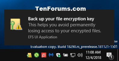 Encrypt or Unencrypt Offline Files Cache in Windows-back_up_your_file_encryption_key.jpg