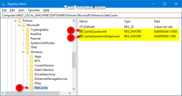 Change Offline Files Disk Usage Limits in Windows-offline_files_disk_usage_limits_policy_regedit-1.png