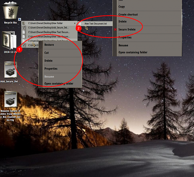 Add Secure Delete to Recycle Bin Context Menu in Windows 10-001668.png