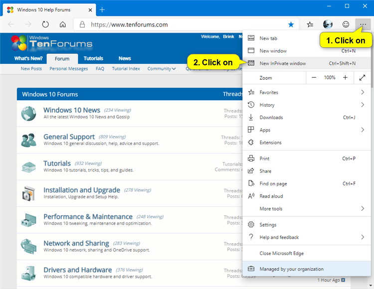 How to Open New InPrivate Browsing Window in Microsoft Edge Chromium-microsoft_edge_inprivate_browsing-1.png
