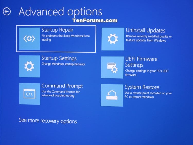Boot to Advanced Startup Options in Windows 10-5a-startup_options.jpg