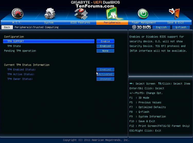 Verify Trusted Platform Module (TPM) Chip on Windows PC-tpm_gigabyte.jpg