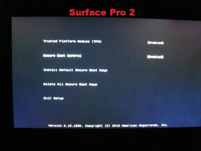Verify Trusted Platform Module (TPM) Chip on Windows PC-tpm_surface-pro-2.jpg