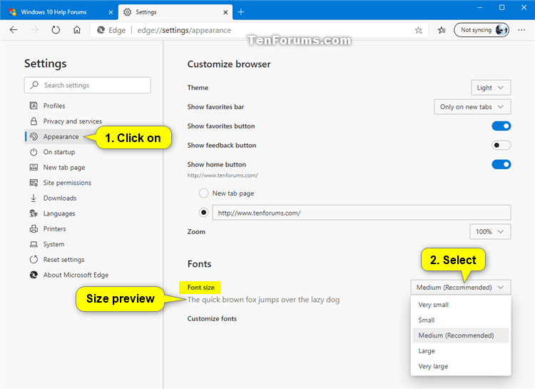 How to Change Font Size and Style in Microsoft Edge Chromium-microsoft_edge_change_font_size_and_style-2.png