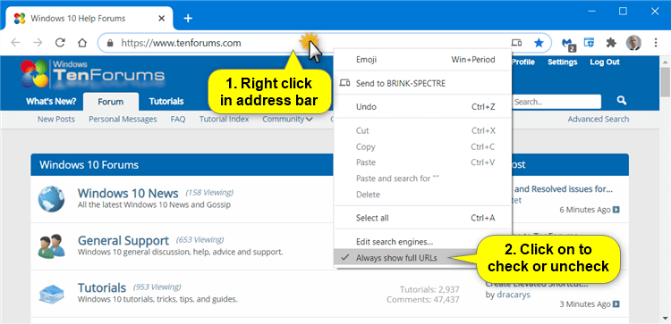 How to Always Show Full URLs in Address Bar of Google Chrome-google_chrome_always_show_full_urls-.png