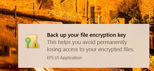 Find All Encrypted Files in Windows 10-2020-08-07_19-47-02.png