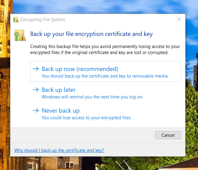 Find All Encrypted Files in Windows 10-2020-08-07_19-47-17.png