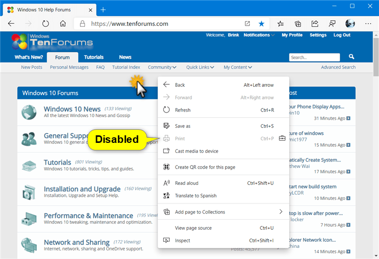 How to Enable or Disable Printing in Microsoft Edge Chromium-disable_print_in_microsoft_edge-1.png
