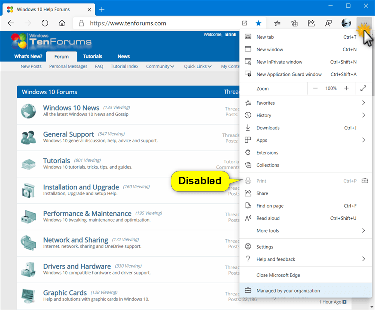 How to Enable or Disable Printing in Microsoft Edge Chromium-disable_print_in_microsoft_edge-2.png