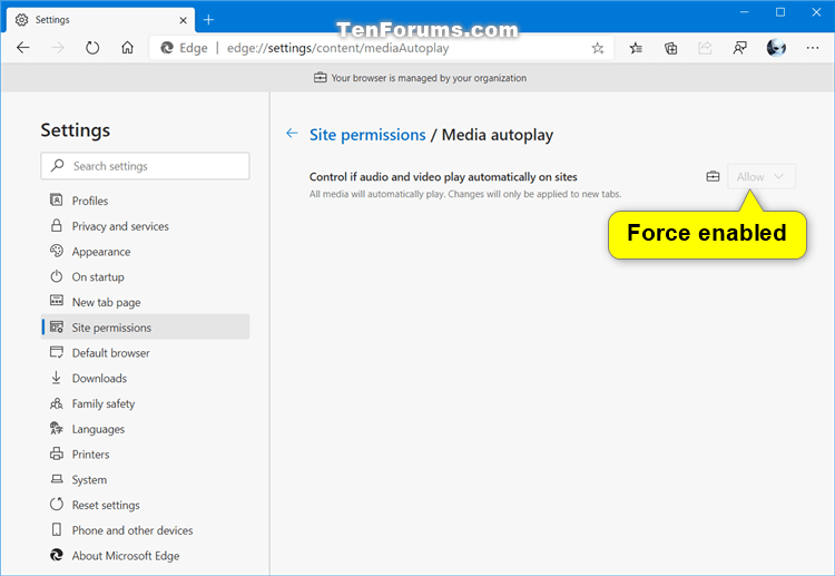 How to Enable or Disable Media Autoplay in Microsoft Edge Chromium-force_enable_media_autoplay_in_microsoft_edge.png