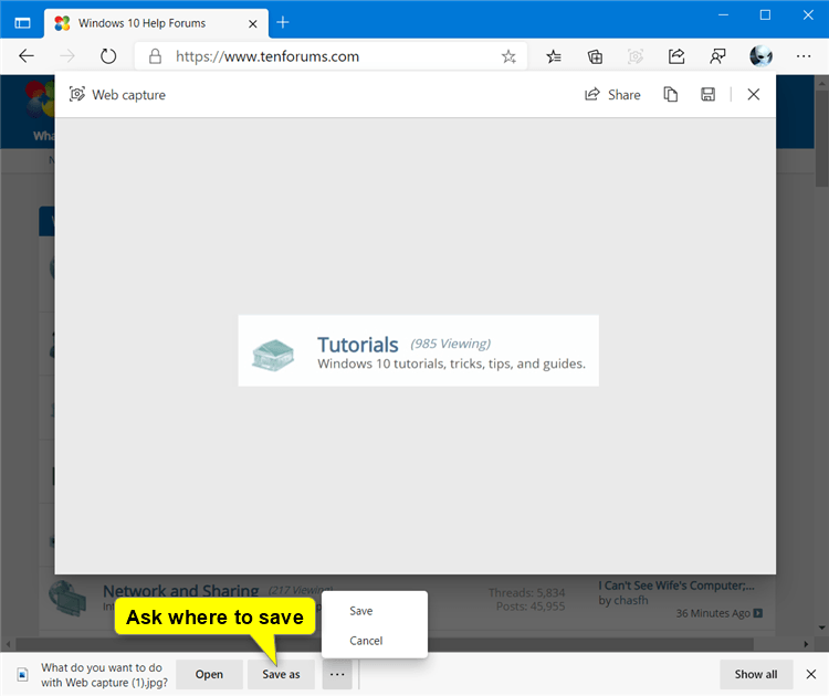 How to Use Web Capture Tool in Microsoft Edge Chromium-web_capture_save-3.png