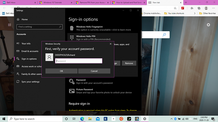 Remove PIN from your Account in Windows 10-2020-11-20-1-.png