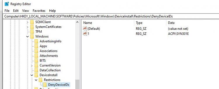 Prevent Windows Update from Updating Specific Device Driver-registrystopdriverupdate.jpg