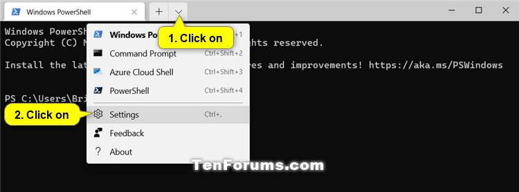 How to Change Default Profile in Windows Terminal app in Windows 10-windows_terminal_settings.png