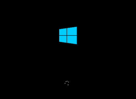 Setup and Run Windows 10 on USB Flash Drive-black-screen-after-installation.png